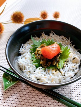 新米で美味しく★高菜明太しらす丼