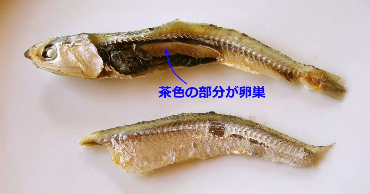 珍味 いりこの卵巣 レシピ 作り方 By １０００人 クックパッド 簡単おいしいみんなのレシピが366万品