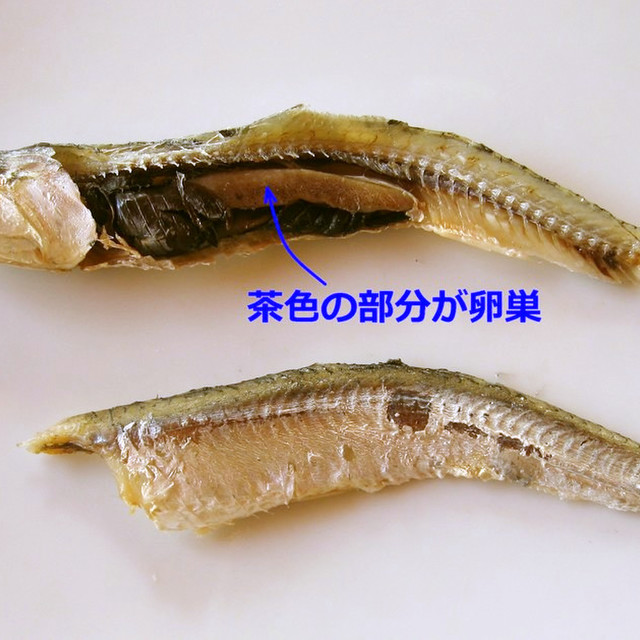 珍味 いりこの卵巣 レシピ 作り方 By 酒粕酒器 クックパッド 簡単おいしいみんなのレシピが360万品 珍味 いりこの卵巣 レシピ 作り方 By 酒粕酒器 クックパッド 簡単おいしいみんなのレシピが360万品