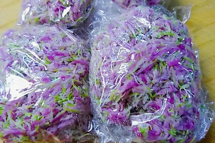 菊の花の冷凍 保存のために レシピ 作り方 By ねずみんパラダイス クックパッド 簡単おいしいみんなのレシピが374万品