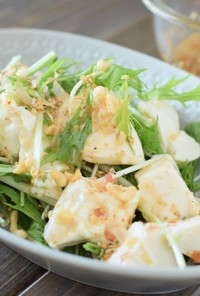 ～自家製ドレ～豆腐と水菜の居酒屋サラダ