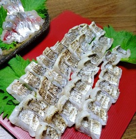 タチウオが釣れたら!とりあえず炙りに♪