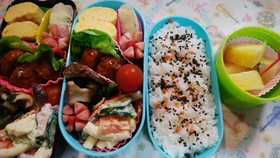 女子高校生毎日お弁当17