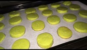抹茶のアイスボックスクッキーの写真