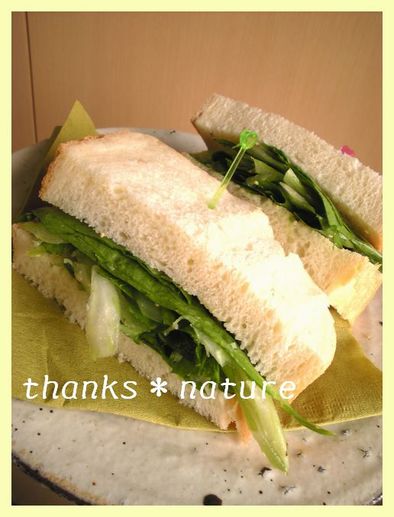 爽やかセロリのサンドイッチの写真