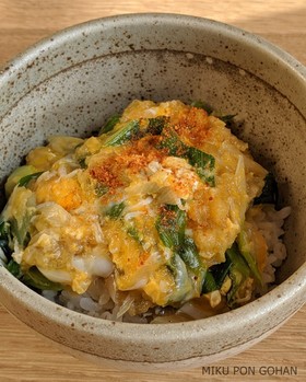 天かすでコクうま!ジャンクねぎ玉丼