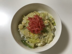 簡単楽チン☆白菜♡丼☆