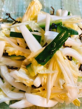 簡単☆白菜と塩昆布のシャキシャキサラダ