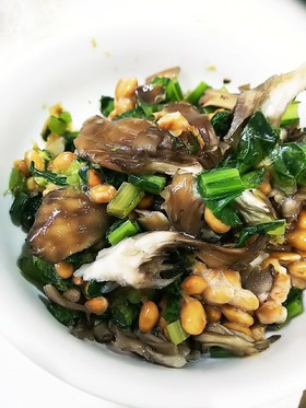 野沢菜舞茸納豆