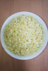 大麦    発芽黄飯