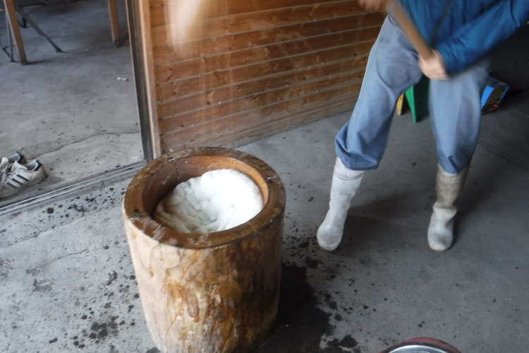 農家の年末の恒例餅つき カビないのし餅 レシピ 作り方 By おかって菜園 クックパッド