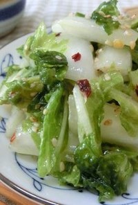 やみつき白菜の甘酢漬け(ラーパーツァイ)