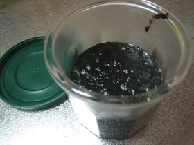 のりの佃煮♪自家製ごはんですヨ