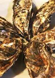 みんなが作ってる 牡蠣 殻付きのレシピ クックパッド 簡単おいしいみんなのレシピが344万品