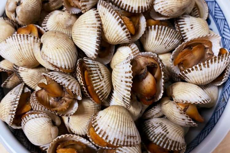 赤貝 出雲地方のお正月料理 レシピ 作り方 By Elbacat クックパッド 簡単おいしいみんなのレシピが361万品