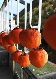 みんなが作ってる 干し柿 紐のレシピ クックパッド 簡単おいしいみんなのレシピが355万品