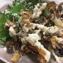 819b61e5585a4d2551707b85322ecfef