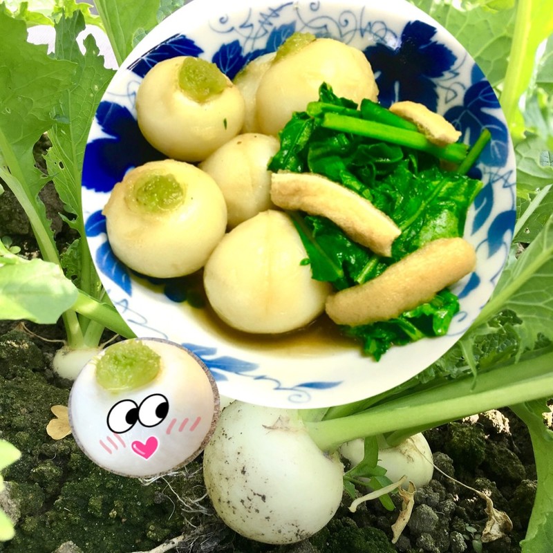 みんなが作ってる 小かぶ お弁当のレシピ クックパッド 簡単おいしいみんなのレシピが360万品