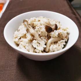 きのこだけごはん