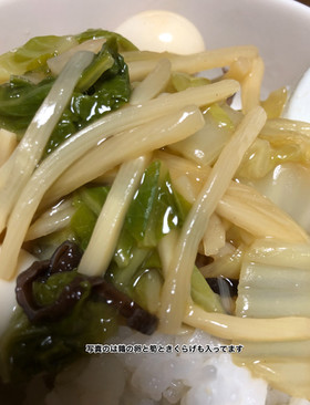 ヘルシーベジのみ中華丼