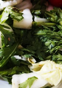 春菊と白菜、水菜の胡麻サラダ