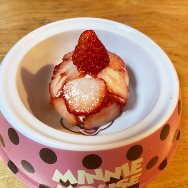 いちごのケーキ 犬用 レシピ 作り方 By Nico115 クックパッド 簡単おいしいみんなのレシピが352万品