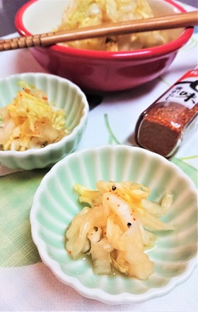 ピリ辛!即席お漬物風【白菜の七味漬浸し】