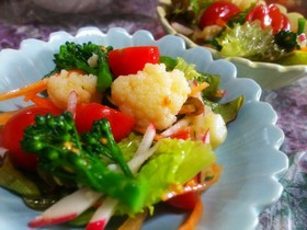 冬野菜のカラフルサラダ