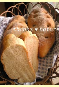 玄米粉入りデイリーパン（パネ）ＨＢ使用