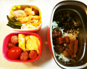タンパク質多めお弁当㉔鶏バーグと鮪の角煮