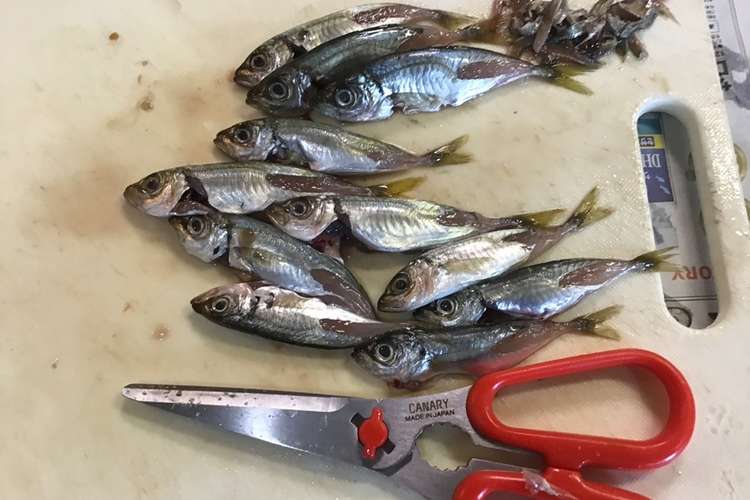 キッチンバサミで肉や魚の下処理