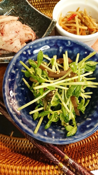 キクラゲと豆苗サラダの写真