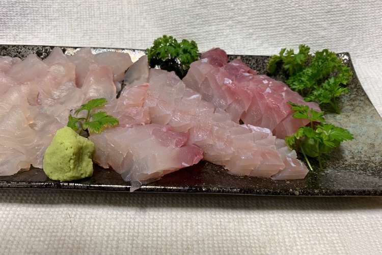 基本 ブダイの捌き方 刺身まで レシピ 作り方 By 料理愛好家五郎左衛門 クックパッド
