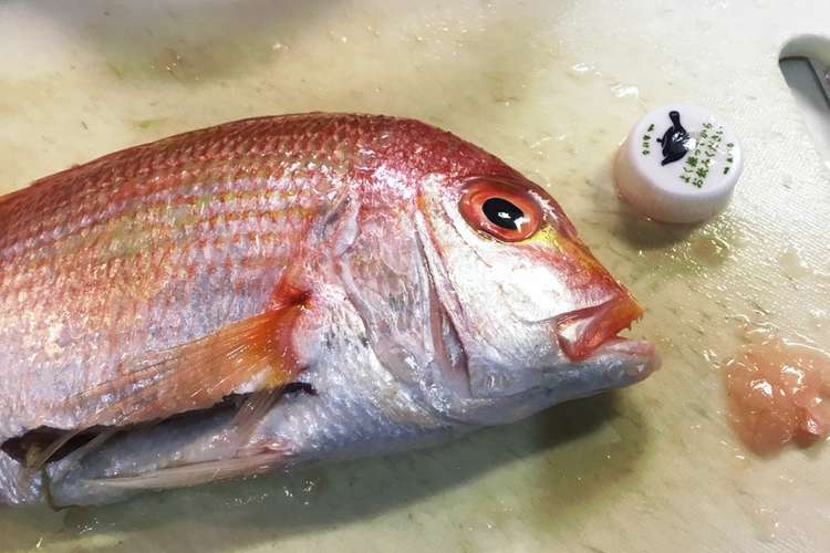 魚のウロコ取るにはペットボトルキャップ