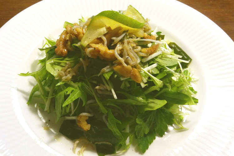 水菜のサラダ しらす魚醤ドレッシング レシピ 作り方 By Guzavie クックパッド 簡単おいしいみんなのレシピが366万品