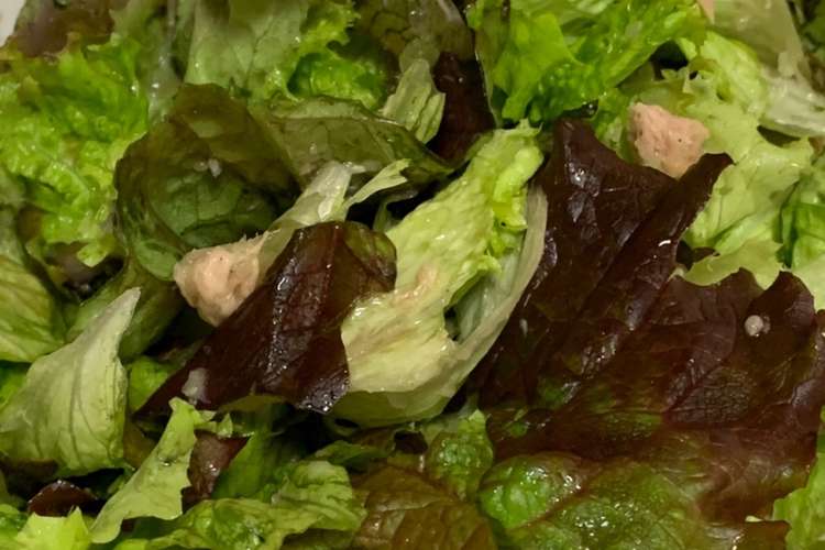 サニーレタス大量消費サラダ レシピ 作り方 By Saeまま クックパッド