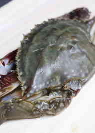 みんなが作ってる 渡り蟹 さばき方のレシピ クックパッド 簡単おいしいみんなのレシピが359万品