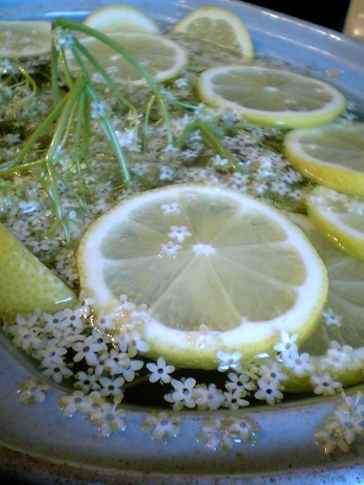 エルダーフラワージンフィズのレシピ