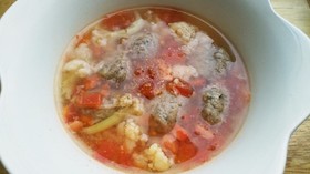 犬ご飯 いわし団子のトマトシチュー
