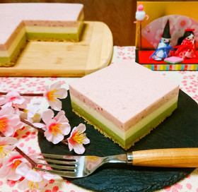 ✿ひな祭りデザート✿三色レアチーズケーキ