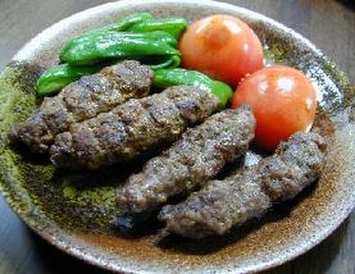 トルコ料理・シシケバブとアダナケバブ__Turkish Kebab/Spicy or Spicy and Hot Spit-roasted Beefの写真