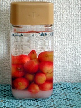 自家製キルシュワッサー