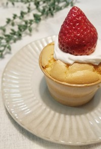 カップシフォンケーキ【お花見 ピクニック