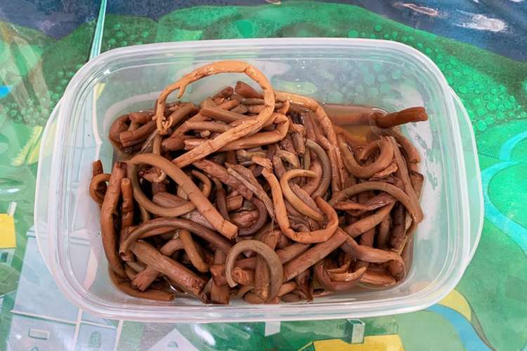 ゼンマイを炊いた料理 レシピ 作り方 By クック5mag クックパッド