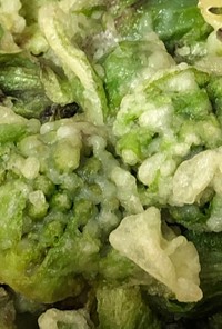 フキノトウの天ぷら、オリーブ油揚げ