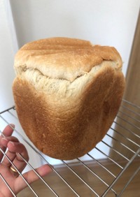 金サフ使用の生食パン