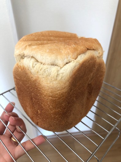 金サフ使用の生食パンの写真