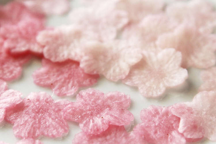 大根で桜の花びら レシピ 作り方 By マユガリータ クックパッド