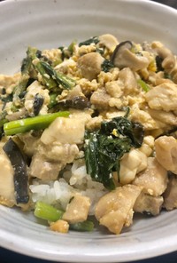 簡単で栄養満点 ご飯によく合う炒め物！