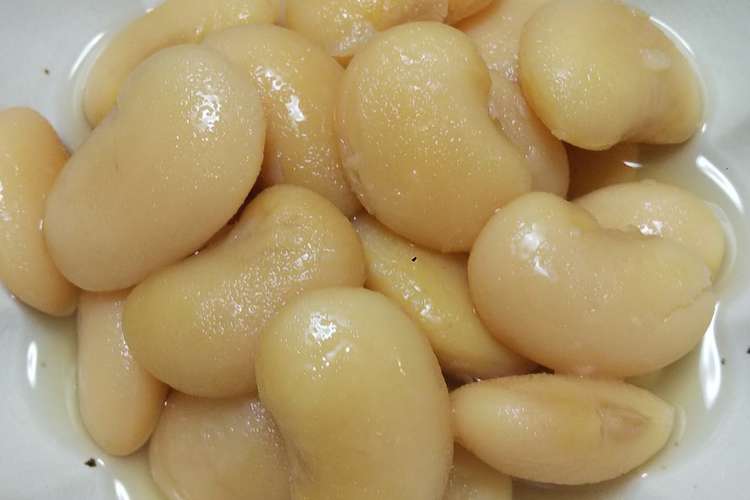 強調 薬用 棚 花 豆 圧力 鍋 エジプト マディソン メトリック